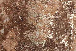 QUADRO C-C BOLD 883 122X82