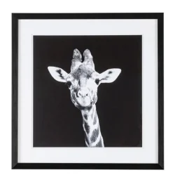 QUADRO C-C EVIDENCE 107 49X49