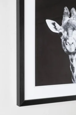 QUADRO C-C EVIDENCE 107 49X49