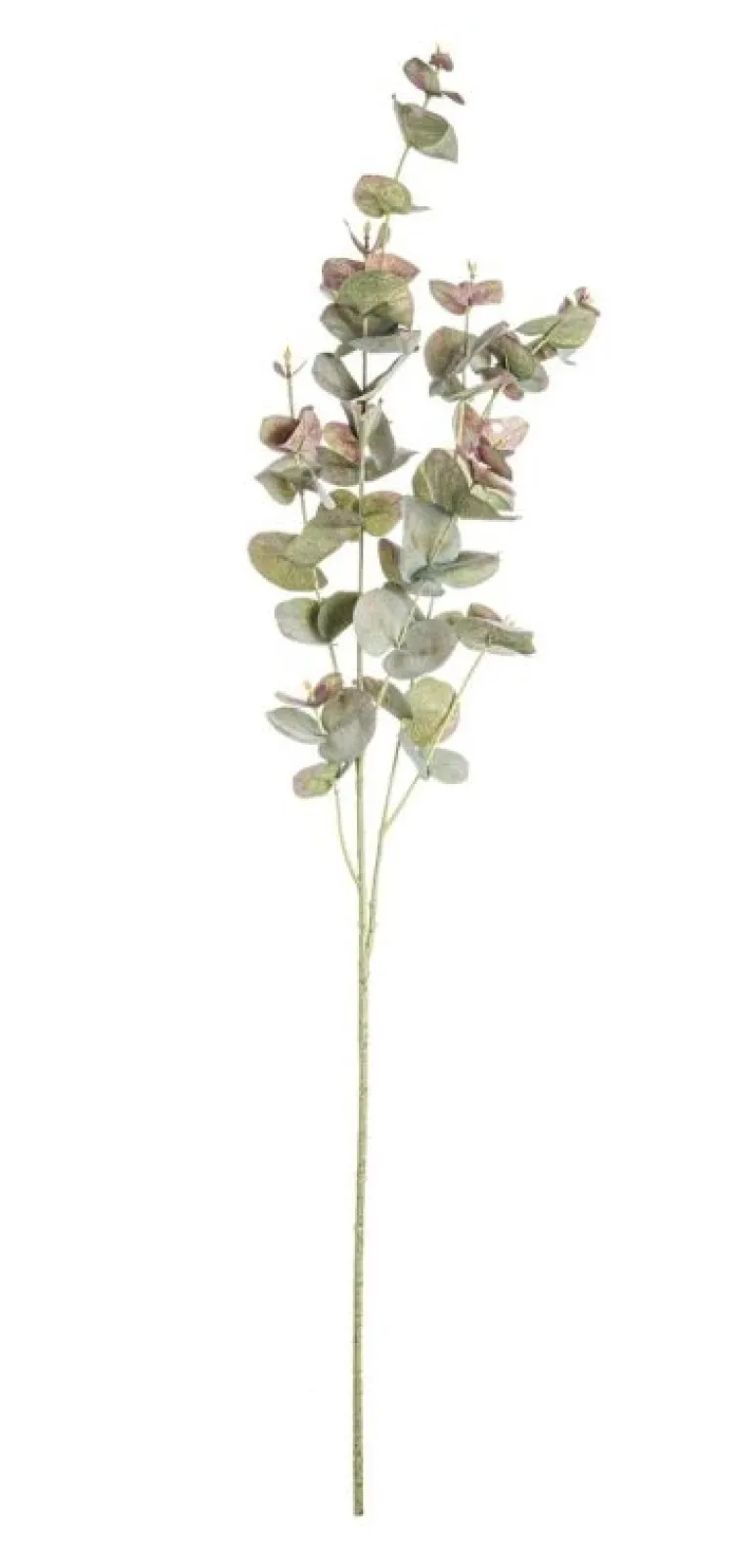 RAMO LITTY EUCALIPTO VERDE VINACCIA H93