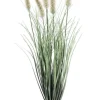 RAMO PENNISETUM H60