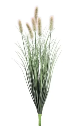 RAMO PENNISETUM H60