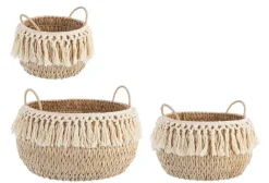 SET3 CESTA 2M ALMA BOMB