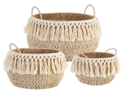 SET3 CESTA 2M ALMA BOMB