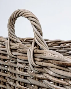 SET3 CESTO 2M NARRA QU