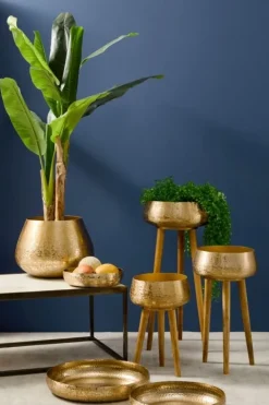 SET2 P.VASO VARANASI TO ORO