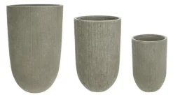 SET3 VASO BRUSH TO ALTO SALVIA