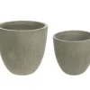 SET2 VASO BRUSH TO BASSO SALVIA