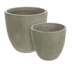 SET2 VASO BRUSH TO BASSO SALVIA