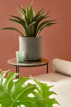 SET4 VASO TRESSAGE CIL ANTRACITE