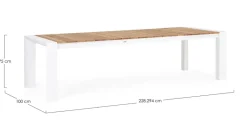 TAVOLO IN ALLUMINIO 228-294X100 BIANCO GK50 - CAMERON