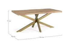 TAVOLO IN LEGNO 175X90 - JAIDEV