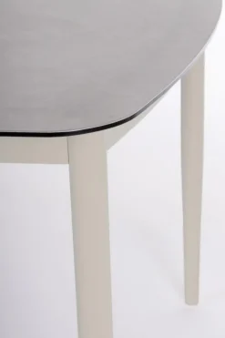 TAVOLO NESTOR 220X100 MORNY WG25